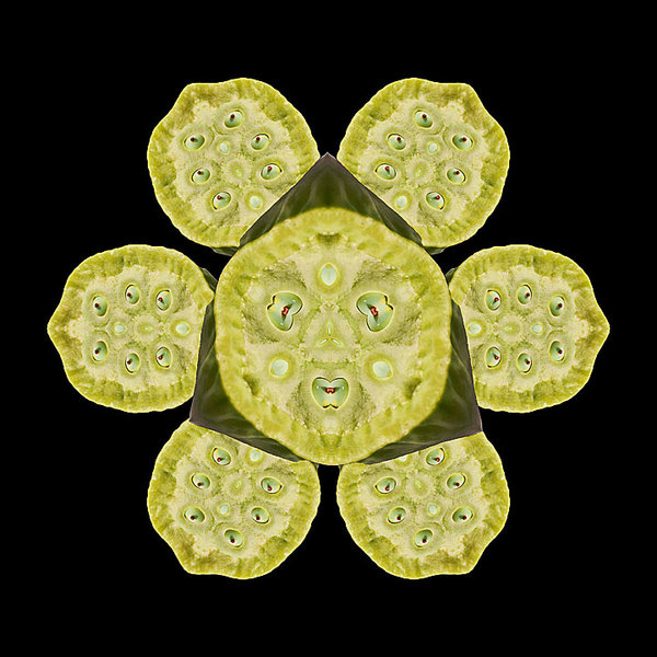 LotusAugenGROSSHGGrauCL90280FINFANTASYSECERETOBSERVERANDOTHEREYESENDVERSIONQUADRAT.jpg