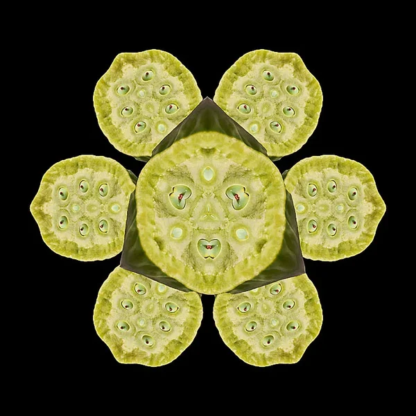 LotusAugenGROSSHGGrauCL90280FINFANTASYSECERETOBSERVERANDOTHEREYESENDVERSIONQUADRAT.webp