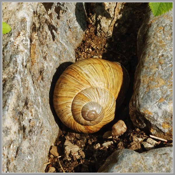 _small__IGP4810_2_DxO.JPG