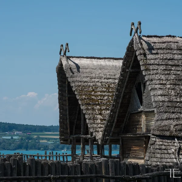 20190718-_IGP6518.webp