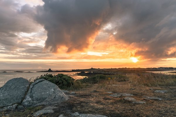 comp_1E1A7796.jpg