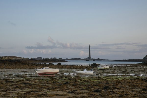 comp_1E1A7821.jpg