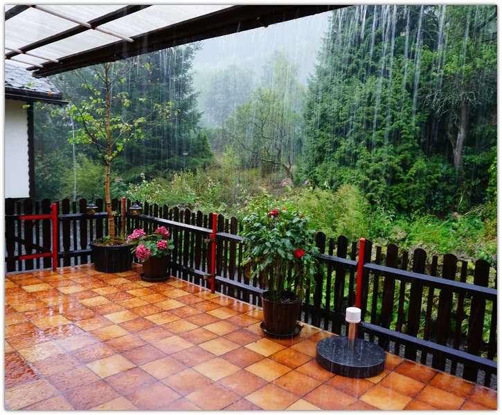 comp_leutenberg_02.webp comp_leutenberg_02.webp