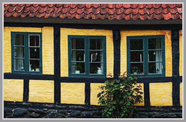 _small__IGP4878_2_DxO.JPG