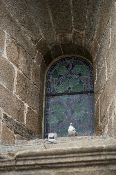 comp_1E1A8042.jpg
