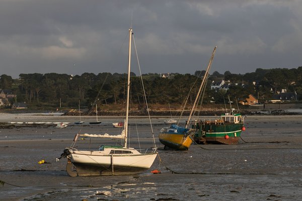 comp_1E1A8819.jpg