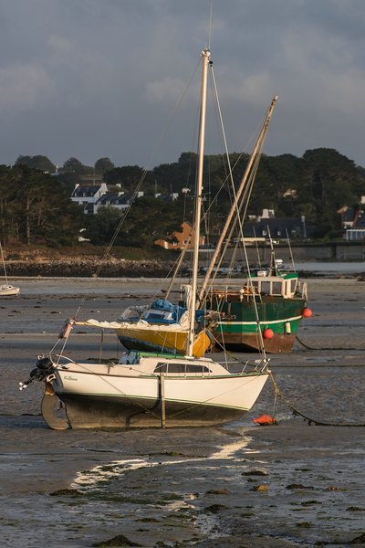 comp_1E1A8821.jpg