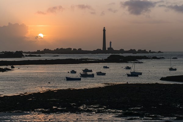 comp_1E1A8854.jpg