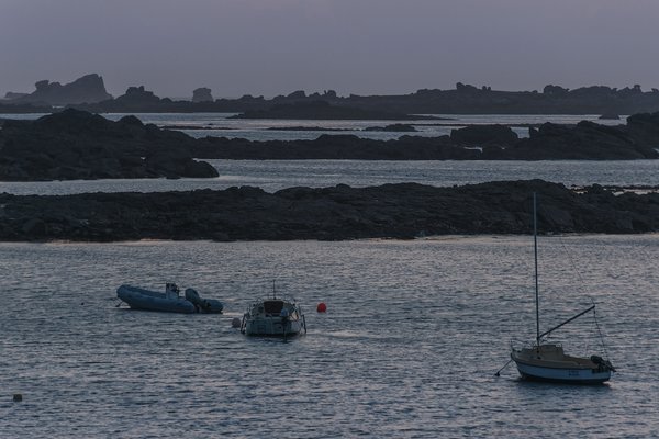 comp_1E1A8932.jpg
