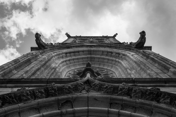 comp_1E1A9273-2.jpg