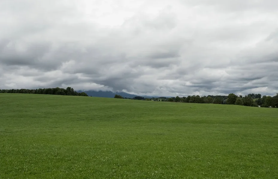 forumP8210840.webp