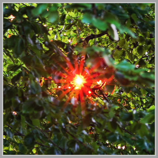 _small__IMG0527_2_DxO.JPG