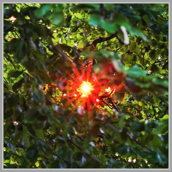 _small__IMG0527_2_DxO.webp