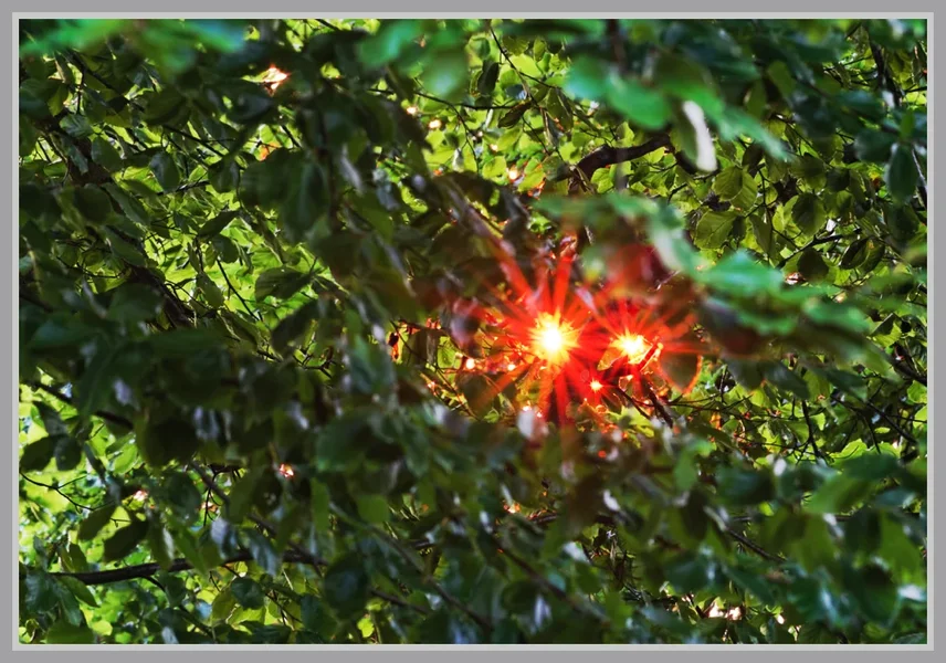 _small__IMG0528_2_DxO.webp