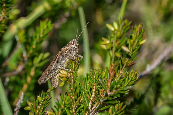 forumP8311576-Bearbeitet.jpg forumP8311576-Bearbeitet.jpg