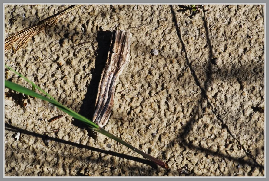 _small__IMG0591_2_DxO.webp