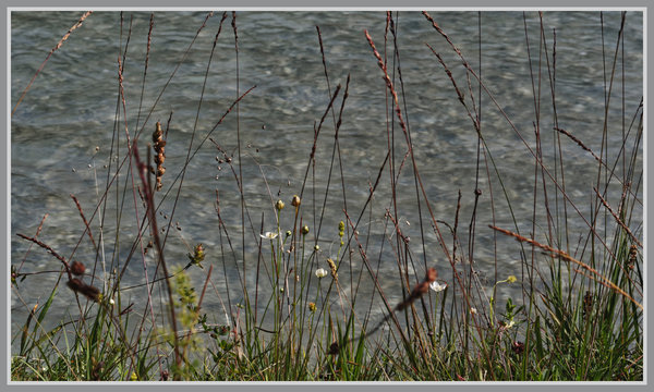 _small__IMG0598_2_DxO.JPG