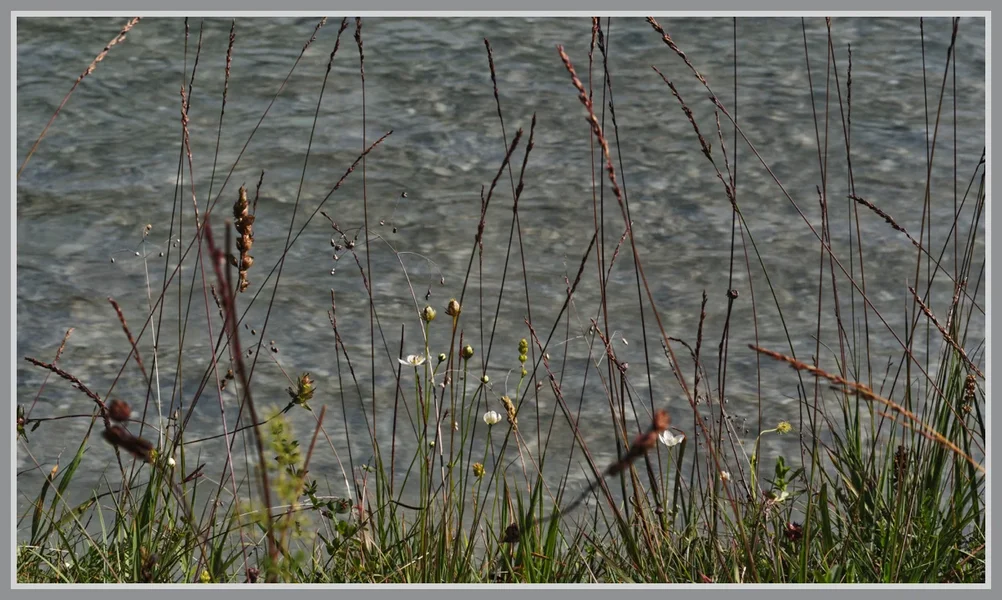 _small__IMG0598_2_DxO.webp