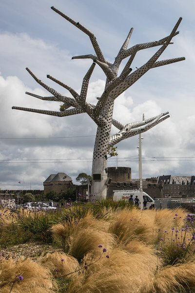 comp_1E1A7630.jpg