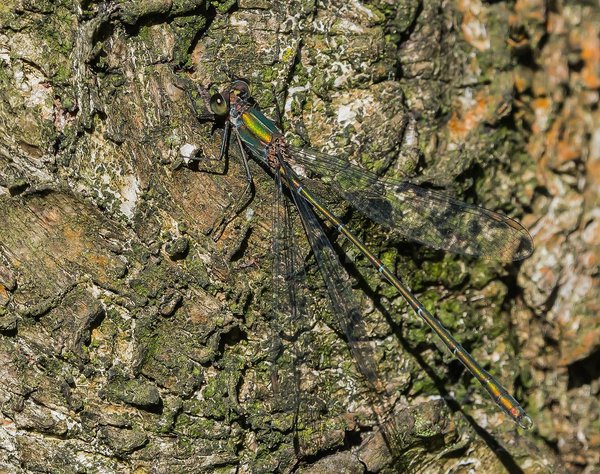 forumP9222212-Bearbeitet.jpg
