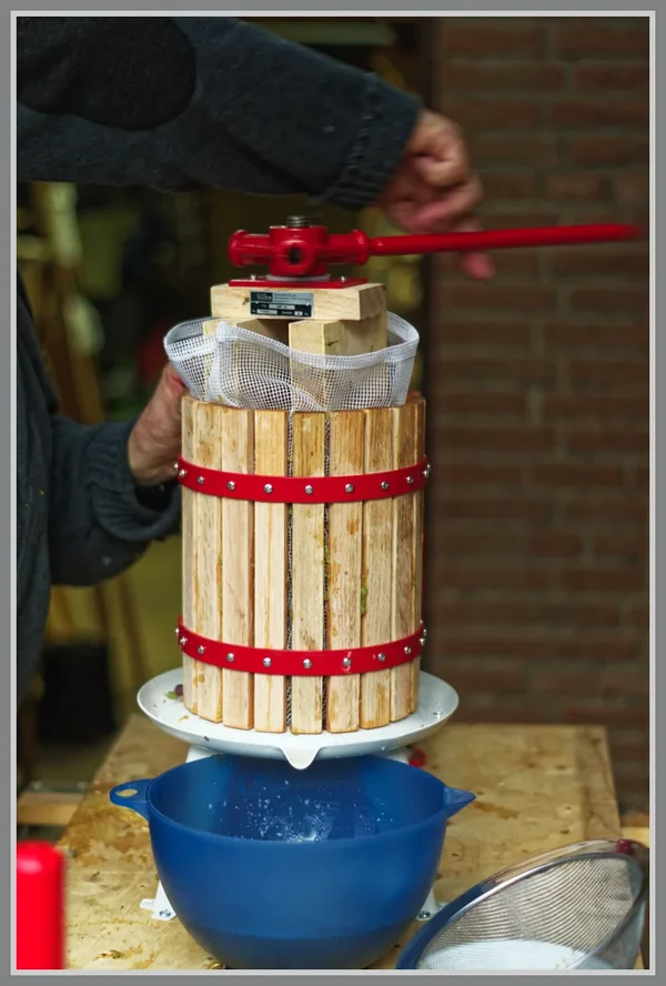 _small__IMG1185_DxO.webp