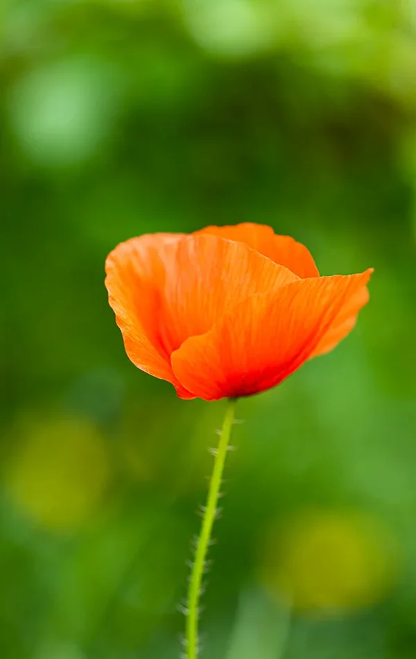 Oktober 19.webp