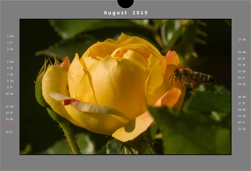 08 Kalender Natur.webp