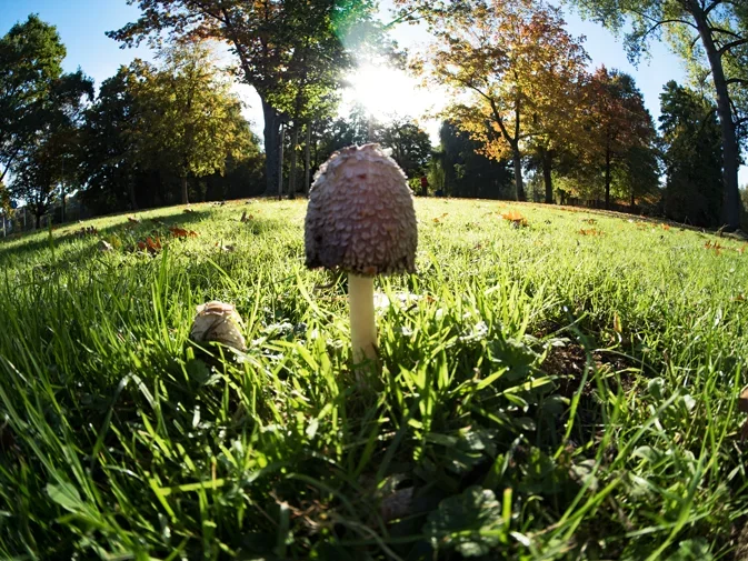 vom-Beller-bis-Breskespark-in-4-Stunden_0022.webp