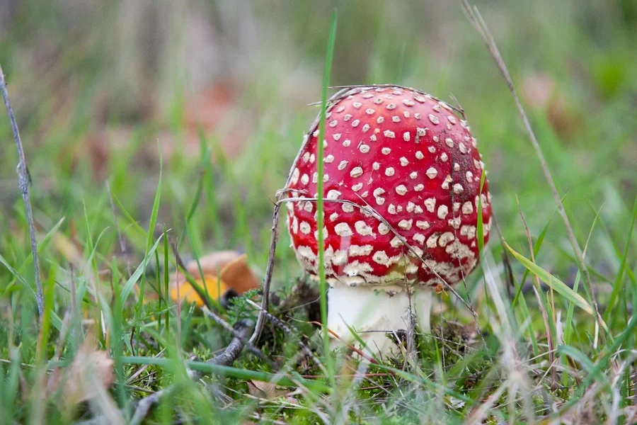 comp_8E4O0943.webp comp_8E4O0943.webp