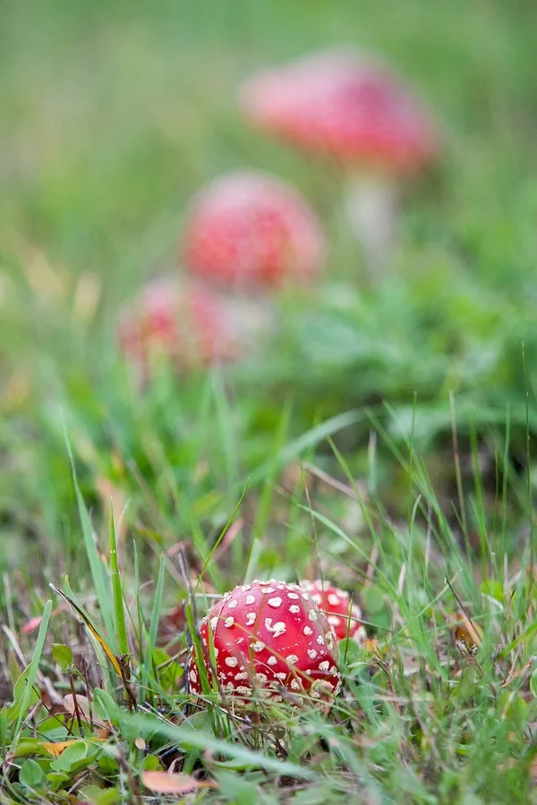 comp_8E4O0955.webp comp_8E4O0955.webp