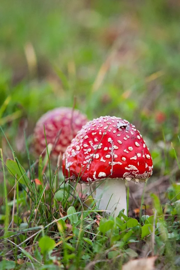 comp_8E4O0968.webp comp_8E4O0968.webp