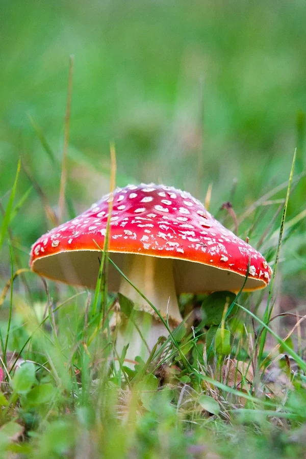 comp_8E4O1025-3.webp comp_8E4O1025-3.webp