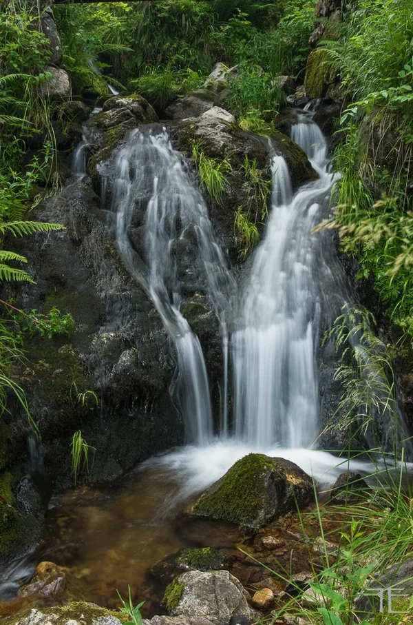 20190713-_IGP6315.webp