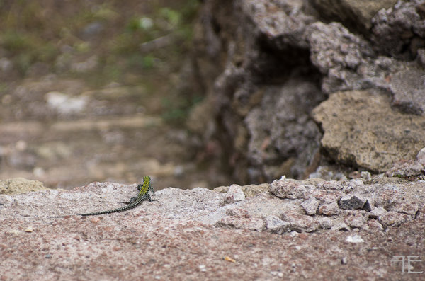 20191015-_IGP7744.jpg 20191015-_IGP7744.jpg