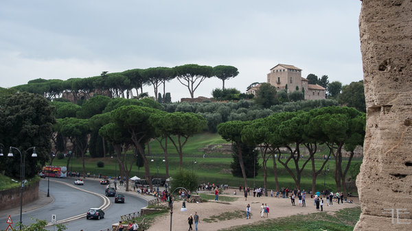 20191015-_IGP7781.jpg 20191015-_IGP7781.jpg