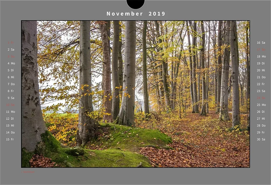 11 Kalender Natur.webp