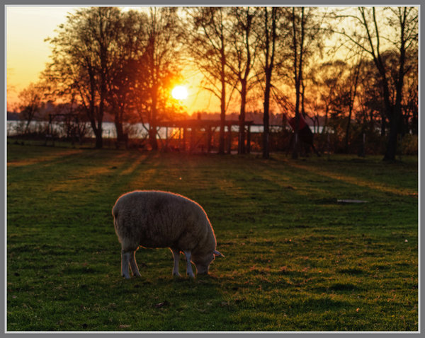 _small__IMG1327_2_DxO.JPG _small__IMG1327_2_DxO.JPG