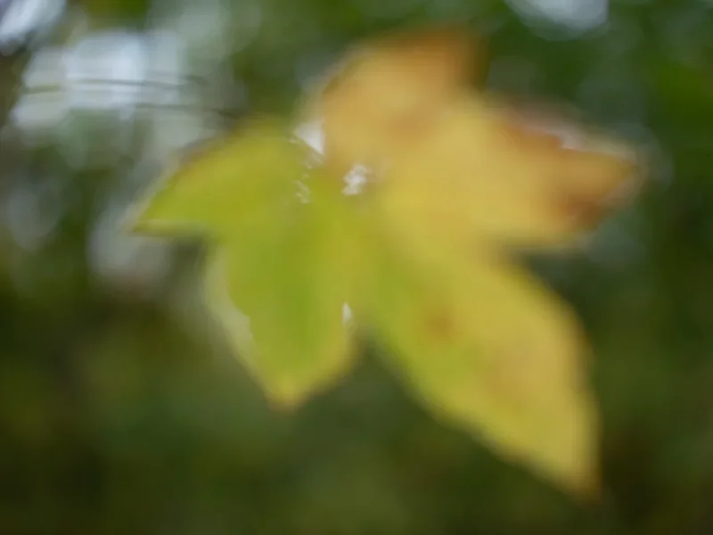 ci_PG9_2440.webp
