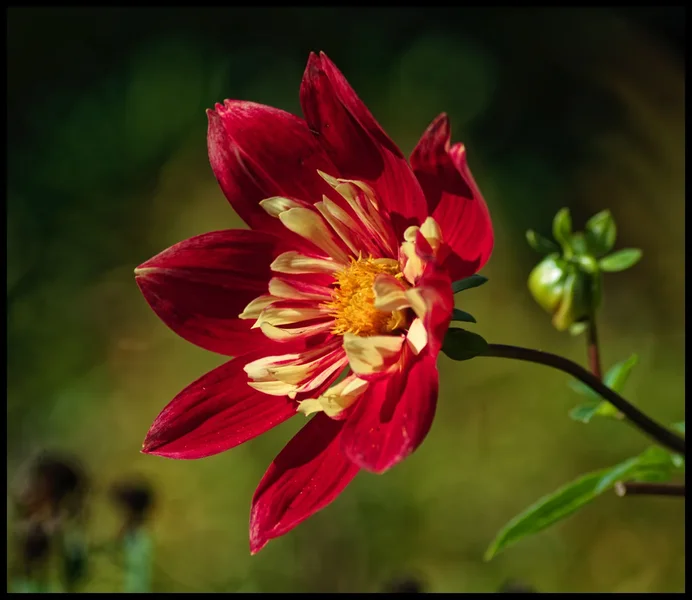 _small__IMG1118.webp