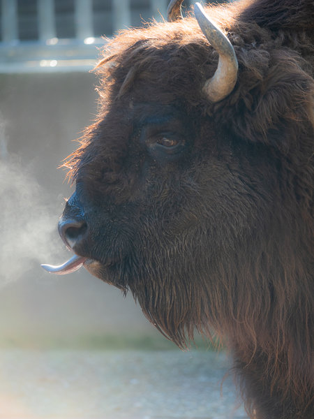 TP Odenkirchen Nov. 19_66.jpg