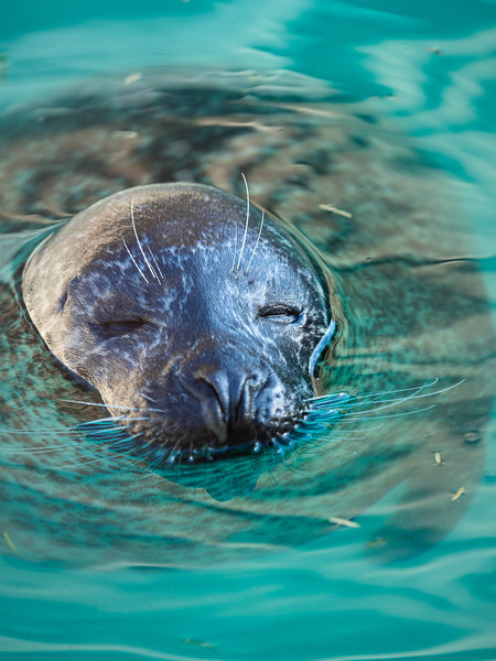 TP Odenkirchen Nov. 19_79.jpg