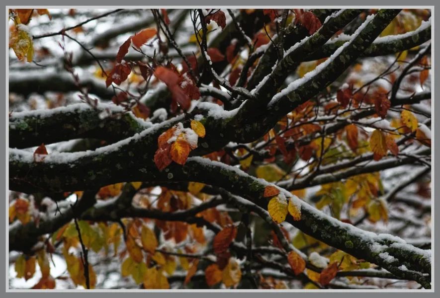 _small__IMG1353_2_DxO.JPG
