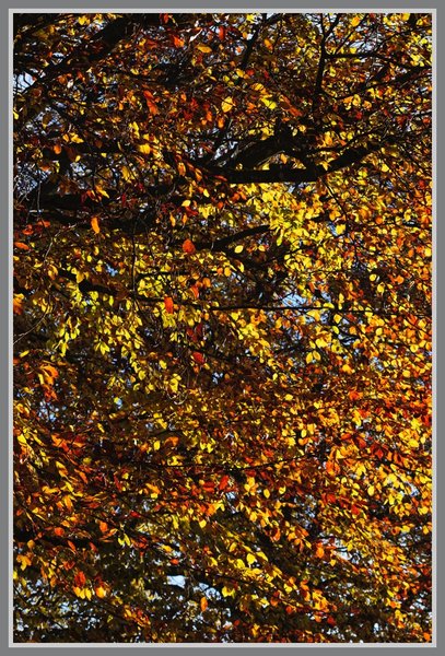 _small__IMG1358_2_DxO.JPG