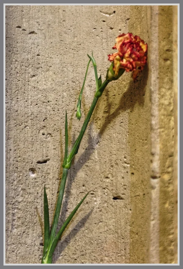 _small__IMG1404_2_DxO.webp