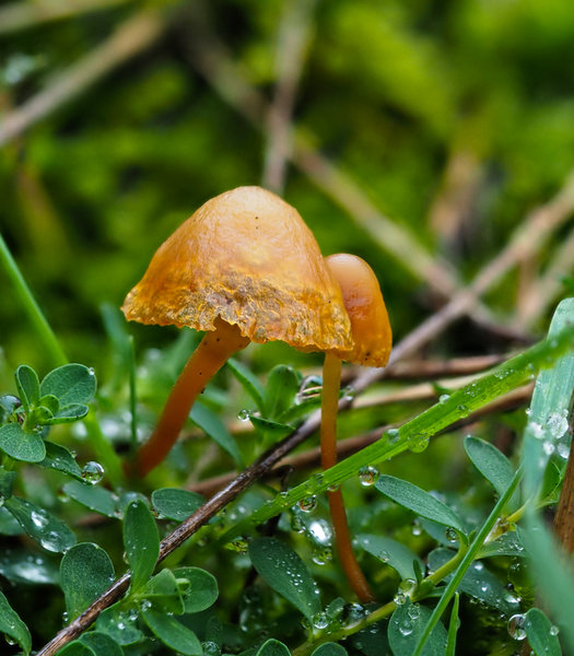 Brüggen Nov. 19_7.jpg