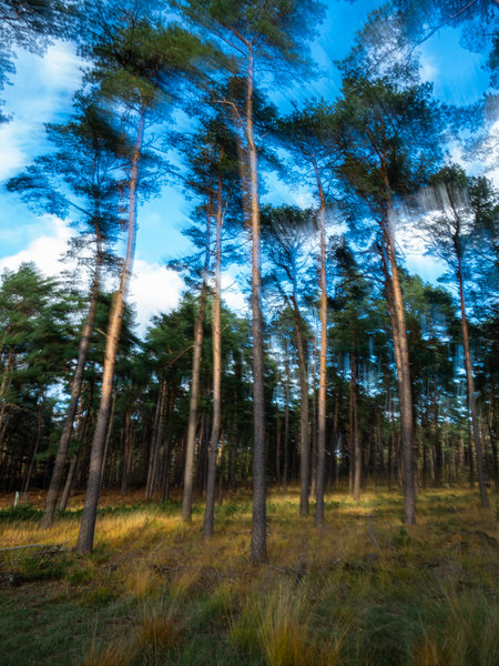 Brüggen Nov. 19_143.jpg