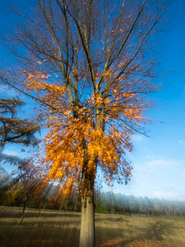 Brüggen Nov. 19_154.webp