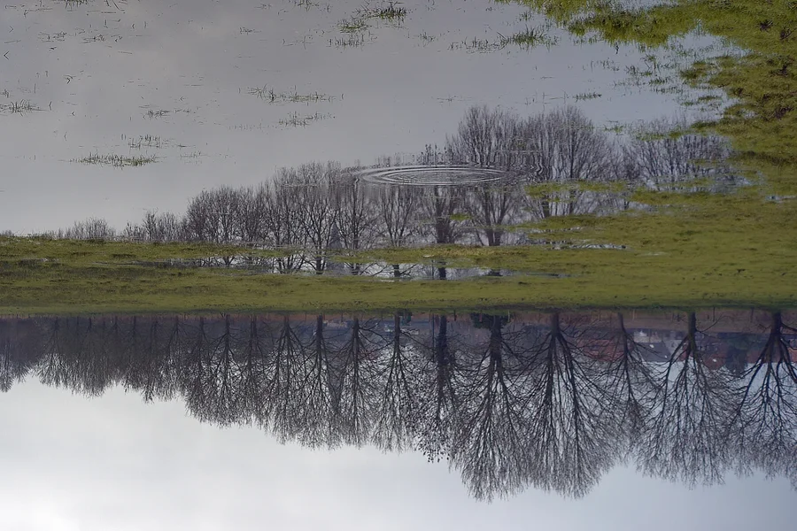 Spiegelung-klein.webp