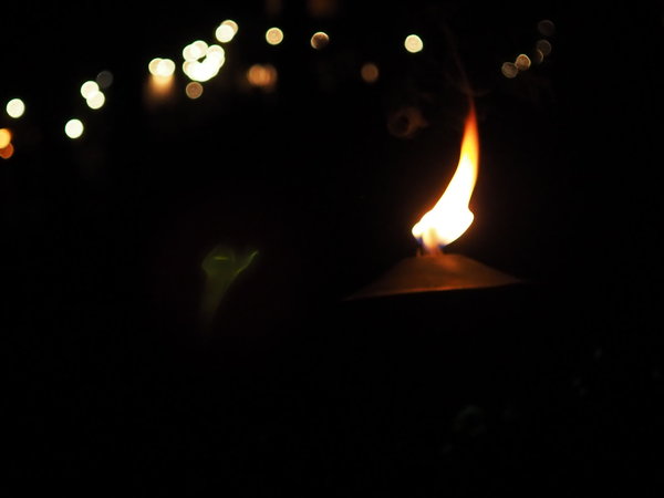 PC180003.JPG