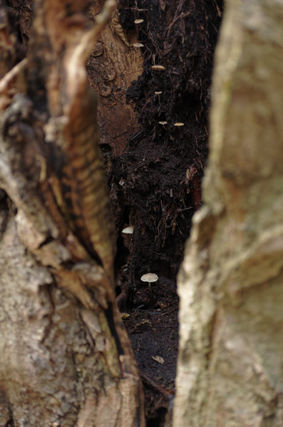 _IGP8990_DxO.jpg _IGP8990_DxO.jpg